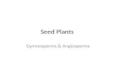 Bio11 seed plants
