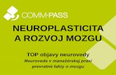 Neuroplasticita a rozvoj mozgu - TOP objavy neurovedy_1