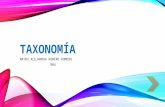 Taxonomia 3