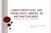 Características dos principais grupos de antibacterianos
