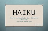 Sistema Operativo Haiku