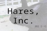 20150521 incubate camp8th_pre_hares, inc