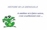 Histoire de la grenouille