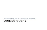 SAP HR - ARINSO Query  - Support de formation pour utilisateurs