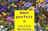 Amor perfeito - CecíLia Meireles