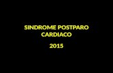 Sindrome postparo cardiaco 2015