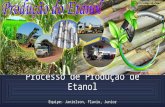 Processo de produo do etanol