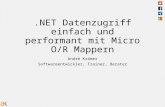 .NET Datenzugriff einfach und performant mit Micro O/R Mappern