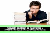 Antología sintetica de fundamentos y acuerdos oficiales de la educación básica