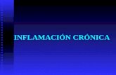 Inflamacion cronica
