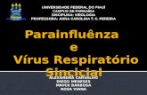 Parainfluênza e Vírus Respiratório Sincicial
