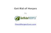 Herpes on penis