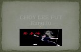 Choy lee fut kung fut
