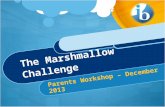 Collaboration / Marshmallow Challenge