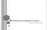 Periodo embrionario