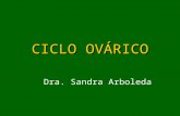 Ciclo ovarico