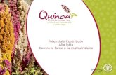 Quinoa. Potenziale contributo alla lotta contro la fame e la malnutrizione
