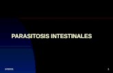Parasitosis intestinal.2