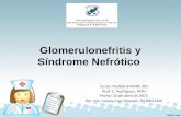 Glomerulonefritis y sindrome nefrotico