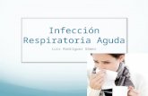Infección Respiratoria Aguda, Generalidades.