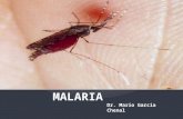 Malaria 2011