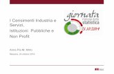 A.P. M. Mirto - Censimenti Industria e Servizi, Istituzioni Pubbliche e Non Profit