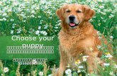 Choose your puppy Expert System