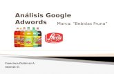 Analisis googleadwords Francisca Gutiérrez
