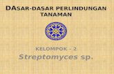 Streptomyces (KELOMPOK 2 DDPT )