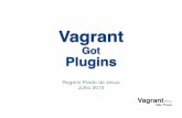 Vagrant Got Plugins