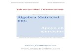 Algebra matricial ebc
