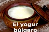 El yogur búlgaro