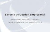 Presentación ERP Negocios Perú