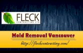 Mold Removal Vancouver