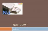 Natrium (SMAKBO)