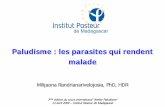 Paludisme : les parasites qui rendent malade