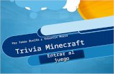 Trivia Minecraft