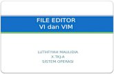 File Editor VIM
