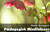 Pædagogisk Mindfulness