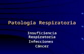 Resp01 patologia respiratoria