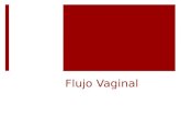 Flujo vaginal