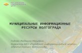 Муниципальные информационные ресурсы Волгограда