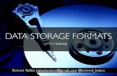Data Storage Formats in Hadoop