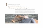 Artikel "Systemisch Paardencoaching"