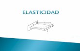 1 elasticidad _16159__