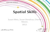 Spatial skills (abilities)