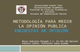 Metodología para medir la opinión publica. Encuestas de opinión