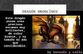 Dragon broncineo
