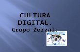Cultura digital grupo zorzal