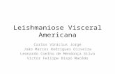 Leishmaniose Visceral Americana - UNCISAL